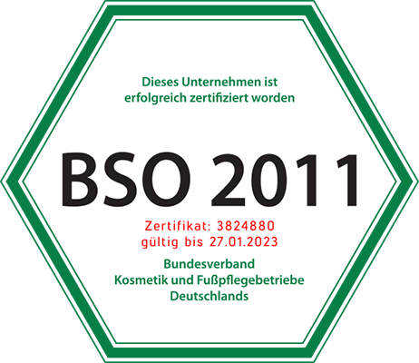 BSO 2011